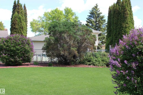 Manicured lawn with mature landscaping, featuring flowering shrubs and established trees - 5203 45 Street, Beaumont, AB - Outdoor