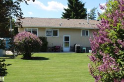 Expansive rear yard featuring a manicured lawn and mature flowering shrubs - 