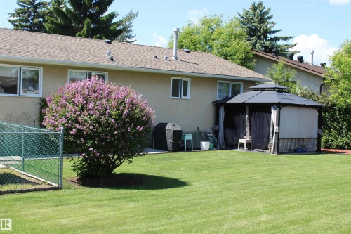 Expansive green lawn with a large flowering shrub - 5203 45 Street, Beaumont, AB - Outdoor