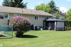 Expansive green lawn with a large flowering shrub - 
