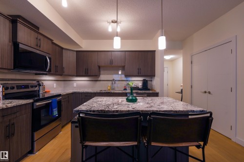 #319 10523 123 St Nw, Edmonton, AB - Indoor Photo Showing Kitchen