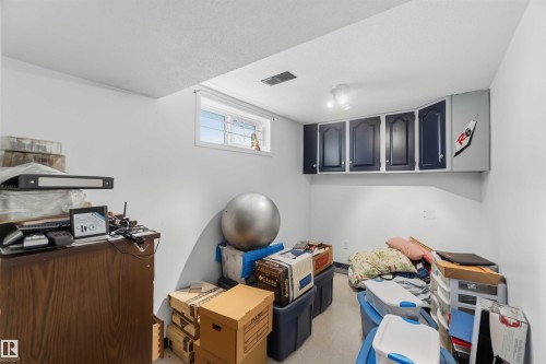 Additional content - 8031 135A Avenue Nw, Edmonton, AB - Indoor