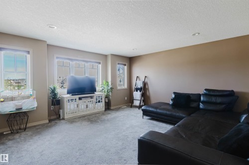 5623 206 Street Nw, Edmonton, AB - Indoor Photo Showing Living Room