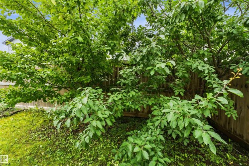 12207 172 Avenue Nw, Edmonton, AB - Outdoor