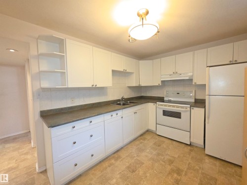 3822 114 Avenue Nw, Edmonton, AB - Indoor Photo Showing Kitchen With Double Sink
