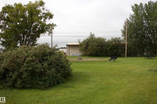 Expansive green space featuring established trees and a large shrub - 4946 47 Street, Barrhead, AB - Outdoor