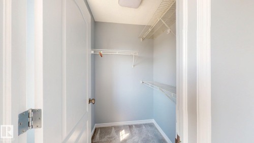 Walk-in closet featuring wire shelving and carpet flooring - 7848 7 Avenue Sw, Edmonton, AB - Indoor With Storage