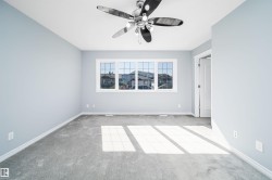 Wall-to-wall carpeting, multiple pane window, ceiling fan with integrated lighting, and painted walls - 