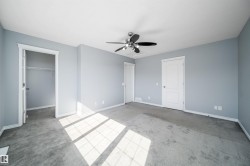 Spacious interior room with light blue walls, gray carpet flooring, and a ceiling fan with integrated lighting - 