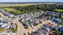 Residential neighborhood with paved streets and mature trees - 7848 7 Avenue Sw, Edmonton, AB 