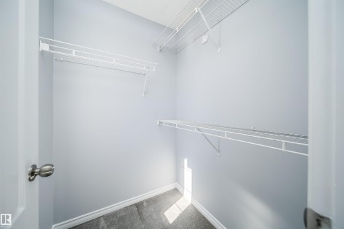 Built-in wire shelving, plush carpet flooring, light gray wall paint, and white trim - 7848 7 Avenue Sw, Edmonton, AB 