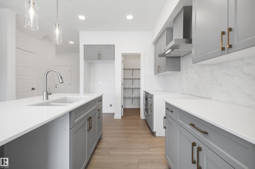 4178 Kinglet Drive Nw, Edmonton, AB - Indoor Photo Showing Kitchen With Double Sink With Upgraded Kitchen