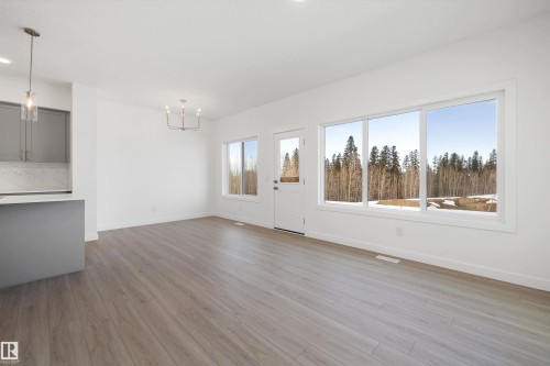 4178 Kinglet Drive Nw, Edmonton, AB - Indoor Photo Showing Other Room