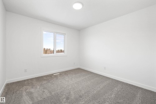 4178 Kinglet Drive Nw, Edmonton, AB - Indoor Photo Showing Other Room