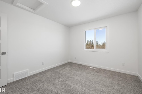 4178 Kinglet Drive Nw, Edmonton, AB - Indoor Photo Showing Other Room