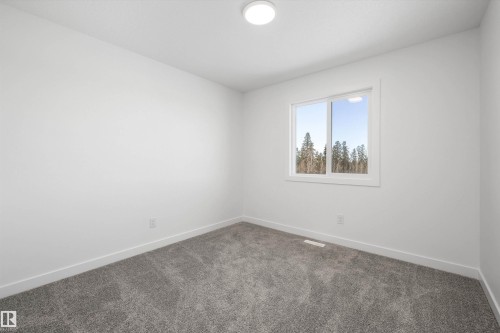 4178 Kinglet Drive Nw, Edmonton, AB - Indoor Photo Showing Other Room
