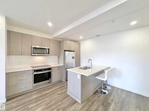 #310 11503 76 Av Nw, Edmonton, AB - Indoor Photo Showing Kitchen With Double Sink