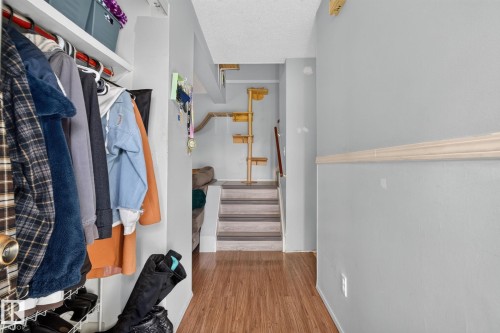 Wood-finish flooring with a light-colored wall and chair rail detailing - 8031 27 Avenue Nw, Edmonton, AB - Indoor