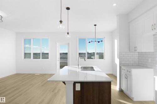 18959 28 Avenue Nw, Edmonton, AB - Indoor Photo Showing Kitchen With Double Sink