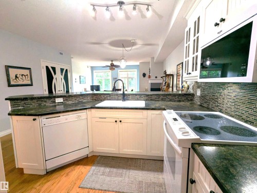 Plenty of counter space and cupboards - #302 9811 96A St Nw, Edmonton, AB - Indoor Photo Showing Kitchen