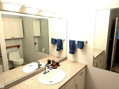 #302 9811 96A St Nw, Edmonton, AB - Indoor Photo Showing Bathroom