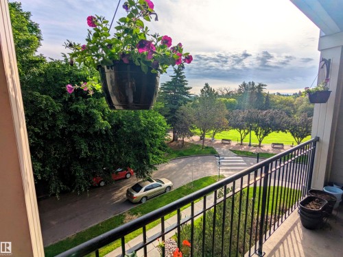 View from your deck overlooking the gorgeous park and steps away from the river valley trails! - #302 9811 96A St Nw, Edmonton, AB - Outdoor