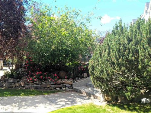 #302 9811 96A St Nw, Edmonton, AB - Outdoor