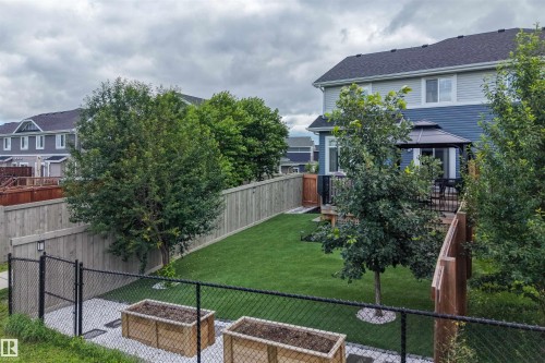 3837 Robins Crescent Nw, Edmonton, AB - Outdoor