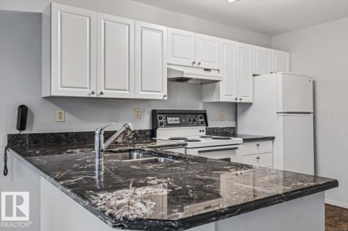 #202 8503 108 St Nw, Edmonton, AB - Indoor Photo Showing Kitchen With Double Sink