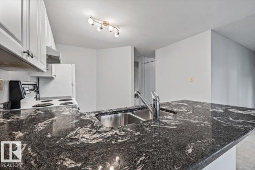 #202 8503 108 St Nw, Edmonton, AB - Indoor Photo Showing Kitchen With Double Sink