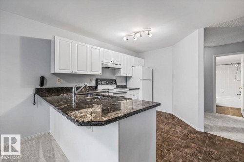 #202 8503 108 St Nw, Edmonton, AB - Indoor Photo Showing Kitchen With Double Sink