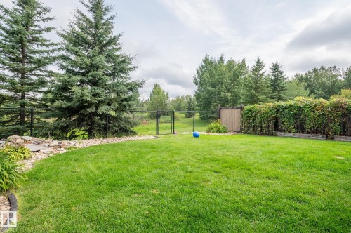 47 Landon Crescent, Spruce Grove, AB - Outdoor