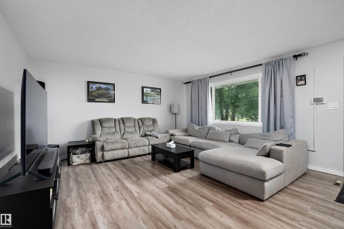 11439 39 Avenue Nw, Edmonton, AB - Indoor Photo Showing Living Room