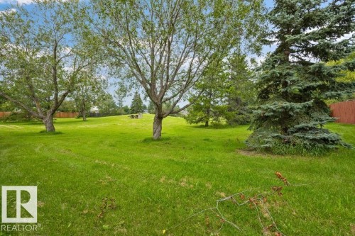 Park that this home backs onto. - 4140 147 Street Nw, Edmonton, AB - Outdoor