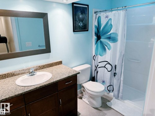 7028 174 Avenue Nw, Edmonton, AB - Indoor Photo Showing Bathroom