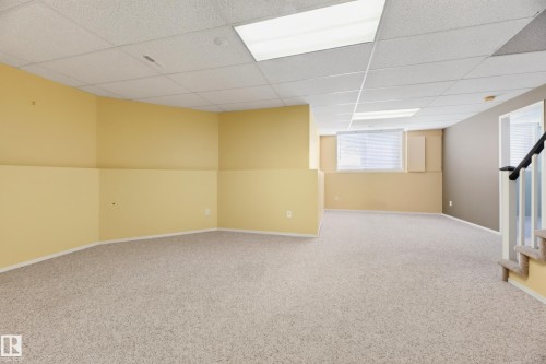 #4 11809 9B Av Nw, Edmonton, AB - Indoor Photo Showing Basement
