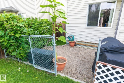 Gravel patio area with vinyl siding, white-trimmed window, and chain-link fencing - 107 Hartwick Loop, Spruce Grove, AB - Outdoor With Exterior