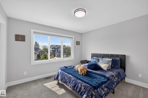 Spacious room featuring a large multi-pane window with white trim, light gray walls, gray carpeting, white baseboards, and a flush-mount ceiling light - 4703 41 Street, Beaumont, AB - Indoor Photo Showing Bedroom
