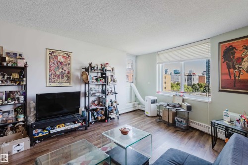 #903 9916 113 St Nw, Edmonton, AB - Indoor Photo Showing Living Room