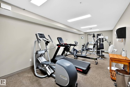#221 279 Suder Greens Dr Nw, Edmonton, AB - Indoor Photo Showing Gym Room