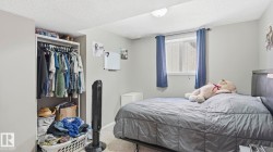 Bedroom featuring a built-in closet with shelving and hanging rod, light gray painted walls, window with blue drapery, and textured carpet flooring - 