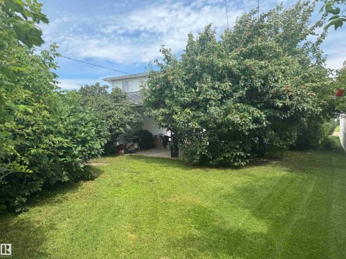 Expansive yard with green lawn, mature trees, and established shrubbery - 6014 50 Street, Vegreville, AB - Outdoor