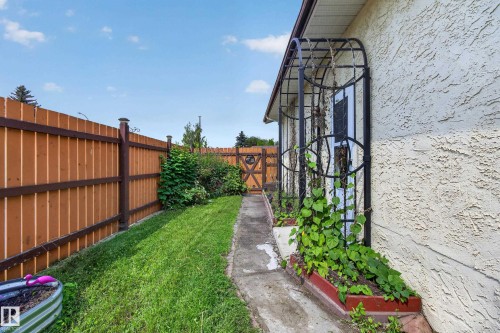 Stucco exterior with an arched metal trellis, a wood fence, and a concrete pathway - 2011 151 Avenue Nw, Edmonton, AB - Outdoor