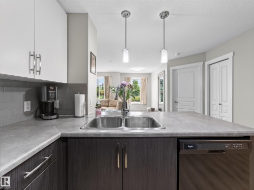 #121 3670 139 Av Nw, Edmonton, AB - Indoor Photo Showing Kitchen With Double Sink