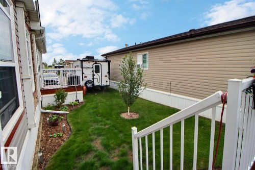 Manicured lawn with a young tree, bordered by a planter bed and a wooden deck - 417 Oak Wood Crescent Northwest, Edmonton, AB - Outdoor With Exterior
