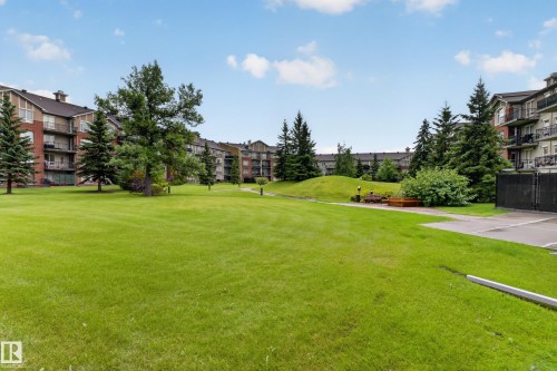 Expansive green space featuring mature trees and established landscaping - #205 6315 135 Av Nw, Edmonton, AB - Outdoor