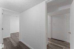 Wood-finish flooring throughout, white walls, and white trim - 