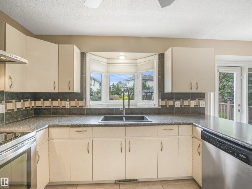 4335 47 Street Nw, Edmonton, AB - Indoor Photo Showing Kitchen With Double Sink