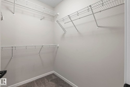 Walk-in closet featuring wire shelving, gray carpeting, and light gray wall paint - 5210 23 Ave Sw, Edmonton, AB - Indoor With Storage
