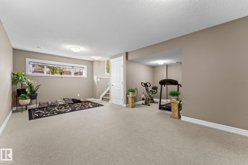17027 121 Street Nw, Edmonton, AB - Indoor Photo Showing Gym Room